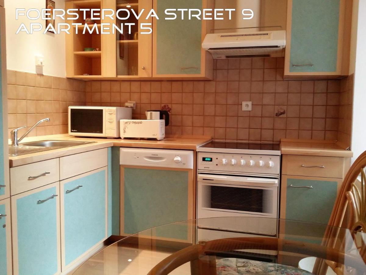 Holiday Apartments Karlovy Vary Esterno foto