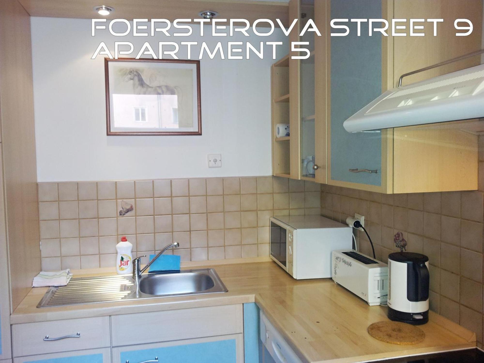 Holiday Apartments Karlovy Vary Esterno foto