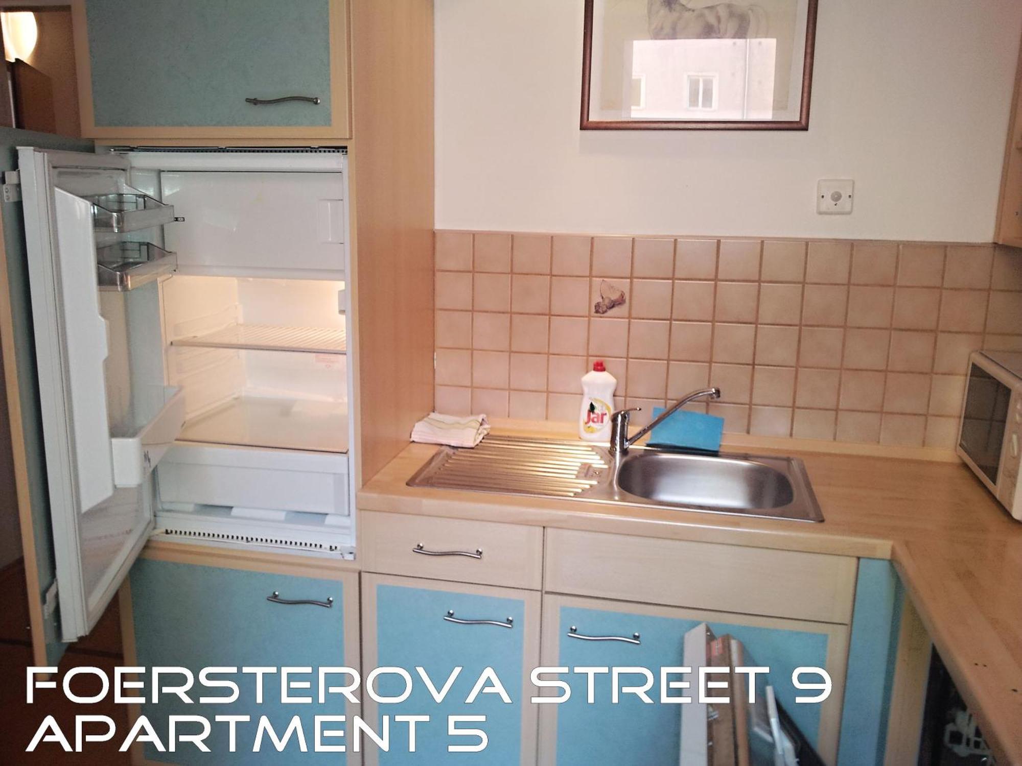 Holiday Apartments Karlovy Vary Esterno foto